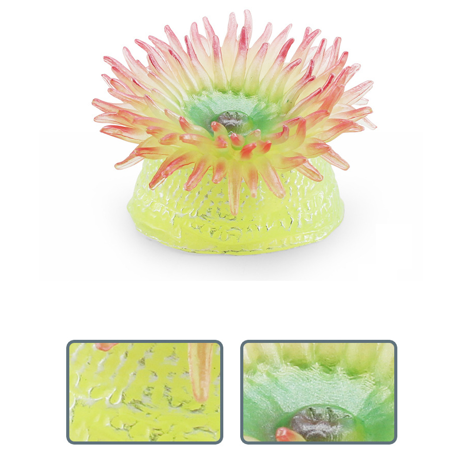 현실적인 산호 바다 해파리 바다 생물 동물 플라스틱 모 - Kids Toys Under 1 Year 리뷰 및 가격