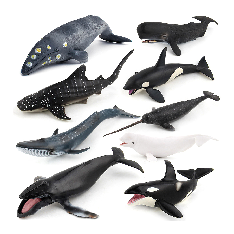 현실적인 혹등고래, 스파머고래, 일각고래, 킬러고래,  - Kids Toys Under 1 Year 리뷰 및 가격