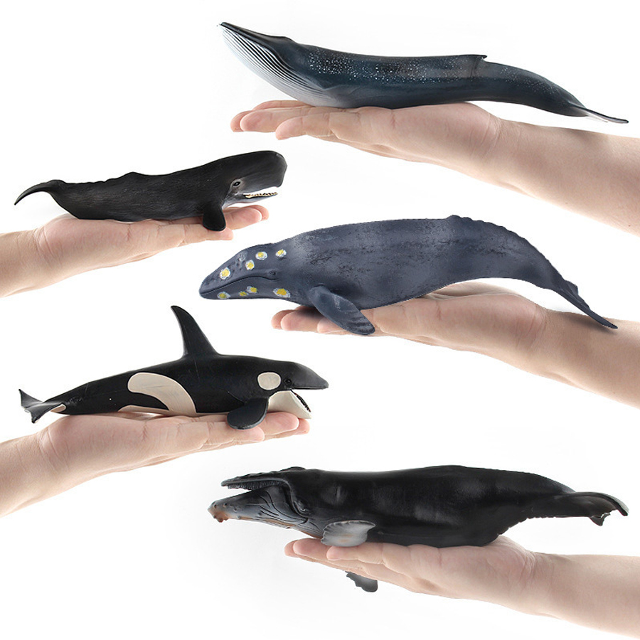 현실적인 혹등고래, 스파머고래, 일각고래, 킬러고래,  - Kids Toys Under 1 Year 리뷰 및 가격