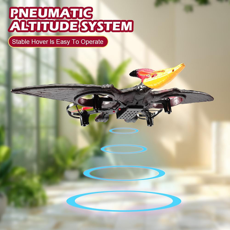 RC 비행기 페트로사우루스 2.4G 6축 자이로 EPP - Kids Toys Under $10 리뷰 및 가격