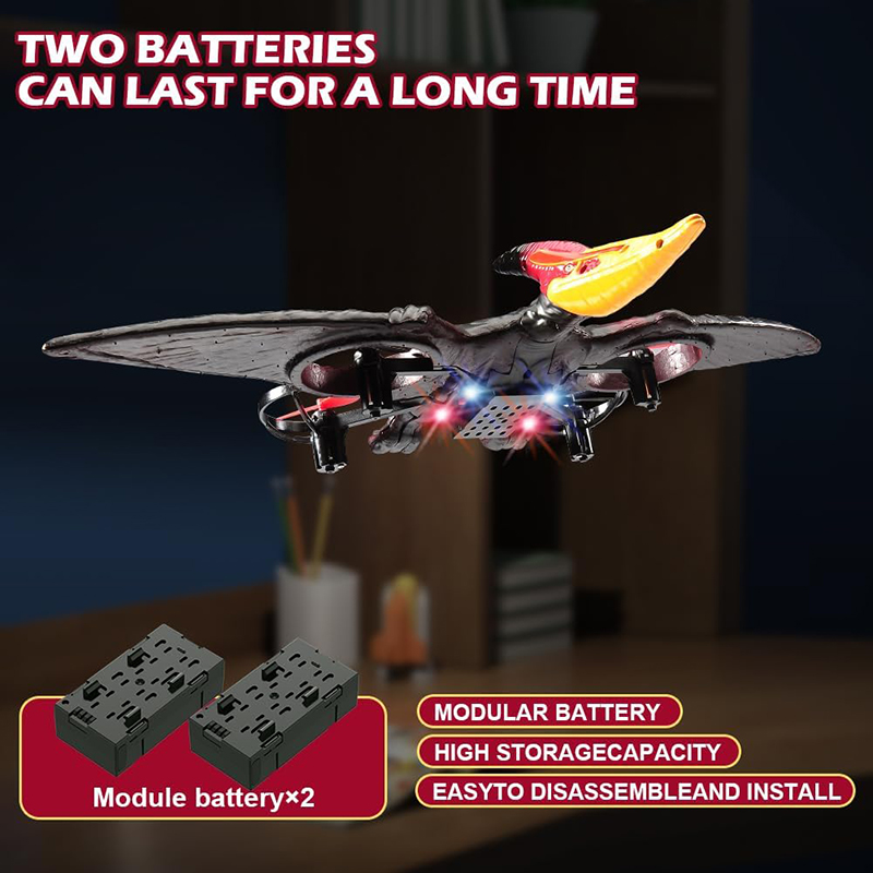 RC 비행기 페트로사우루스 2.4G 6축 자이로 EPP - Kids Toys Under $10 리뷰 및 가격