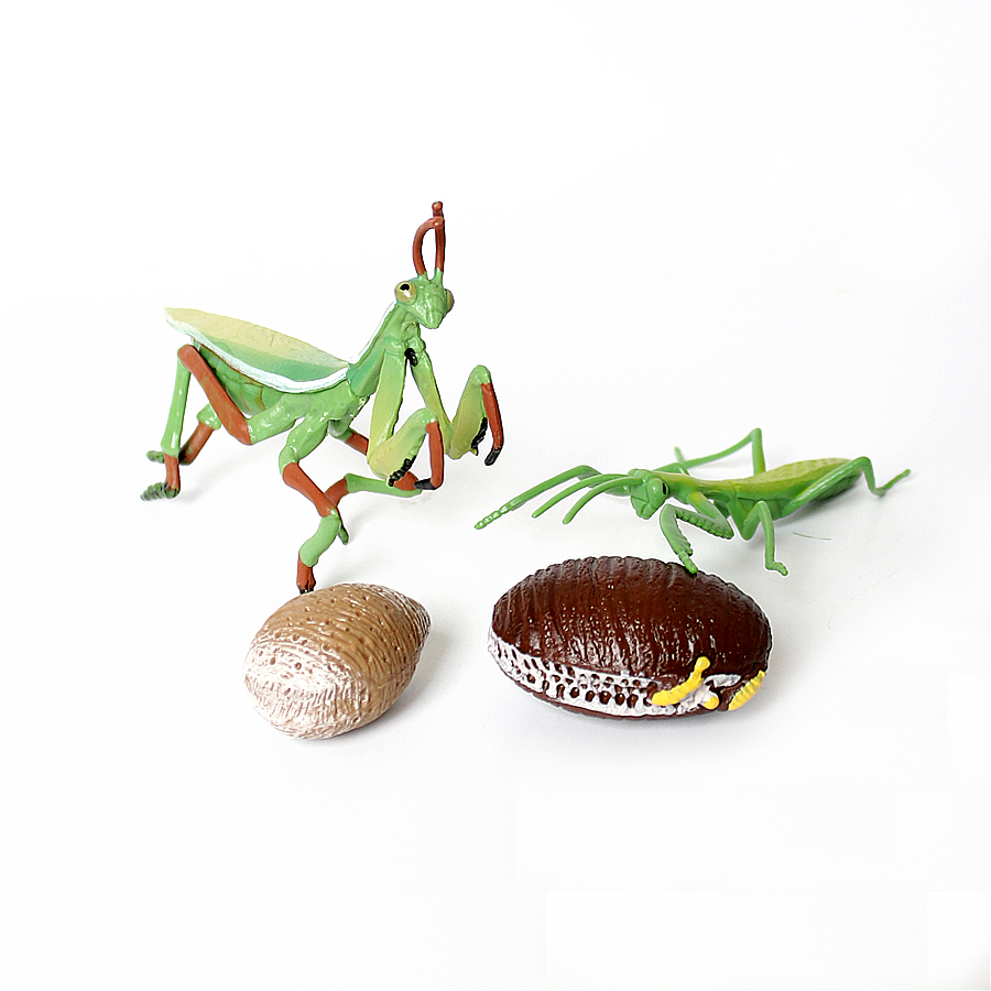 현실적인 난초 사마귀, 죽은 잎사귀 사마귀, 거대 잎사 - Kids Toys Under 1 Year 리뷰 및 가격